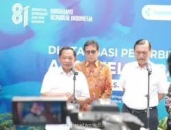 Mendagri Siapkan Surat Edaran agar Bayi Lahir di Luar Faskes Tetap Dapat Akta Kelahiran Digital