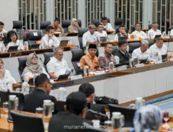Menhut Apresiasi Peringatan Dini BMKG soal El Nino, Jadi Bekal Antisipasi Karhutla