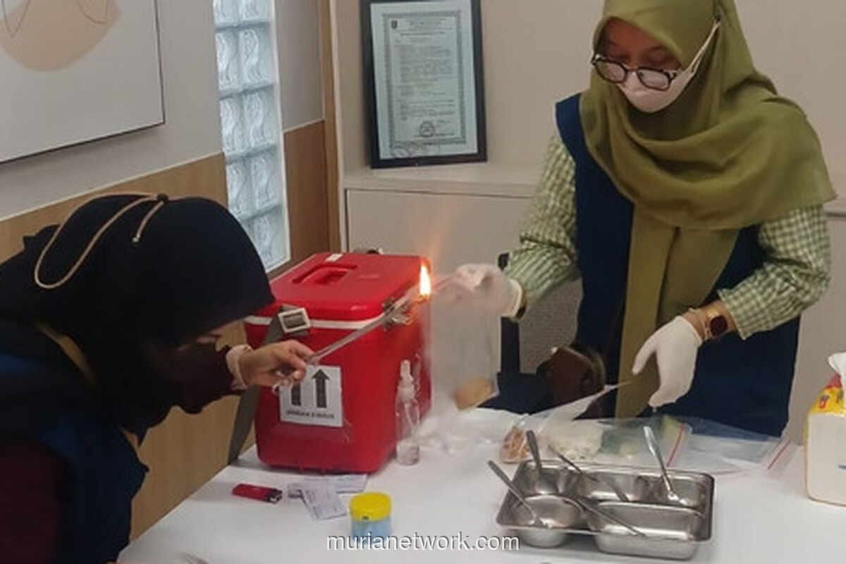 Kemenkes Temukan Bakteri E.coli di Makanan MBG yang Sebabkan Keracunan Massal