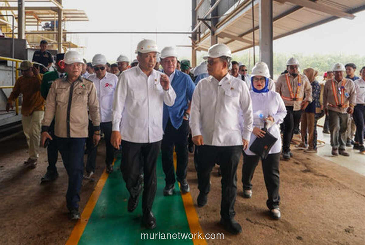Menteri Koperasi Resmikan Pabrik CPO Milik KUD Sejahtera di Sumsel