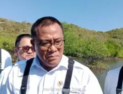 Menteri LH Buka Suara Soal Penebangan 10 Pohon di Bandung: Itu Barbar