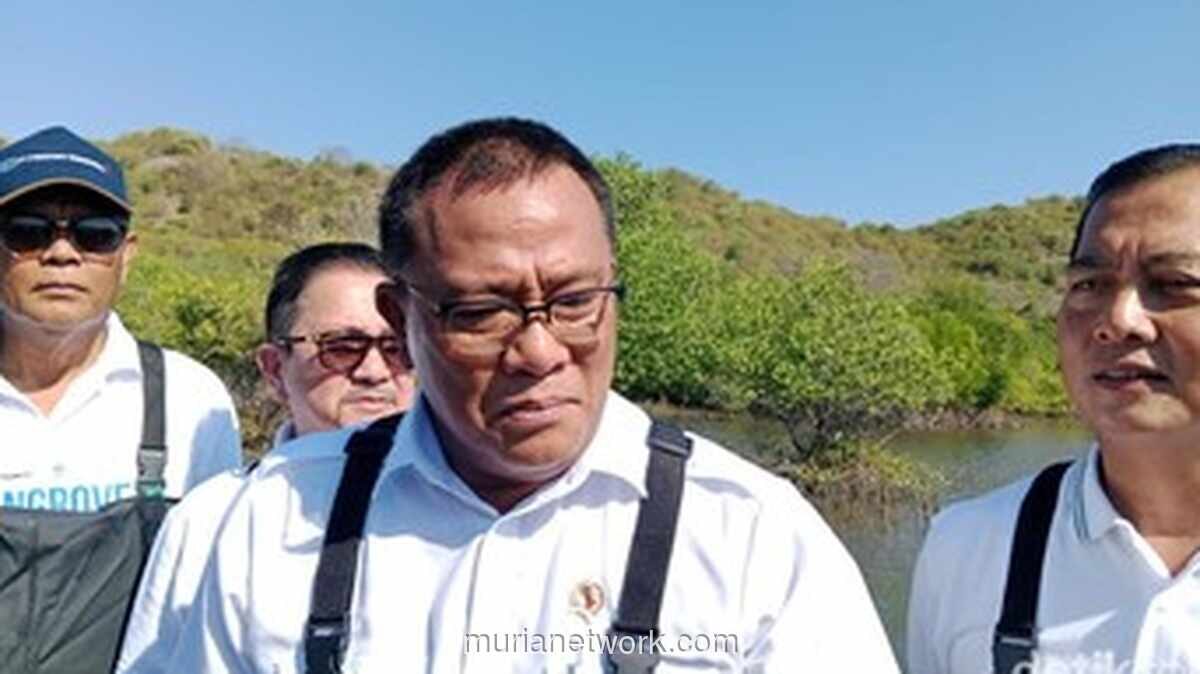 Menteri LH Buka Suara Soal Penebangan 10 Pohon di Bandung: Itu Barbar