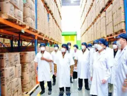 Laba Bersih Mayora Melonjak 46,55 Persen di Semester I-2026