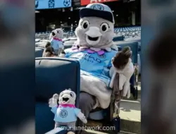 New York City FC Incar Poin Penuh Lawan Toronto FC demi Kokohkan Posisi