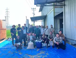 Unpad Latih Petani Bandung Olah Jerami Padi Jadi Pakan Ternak