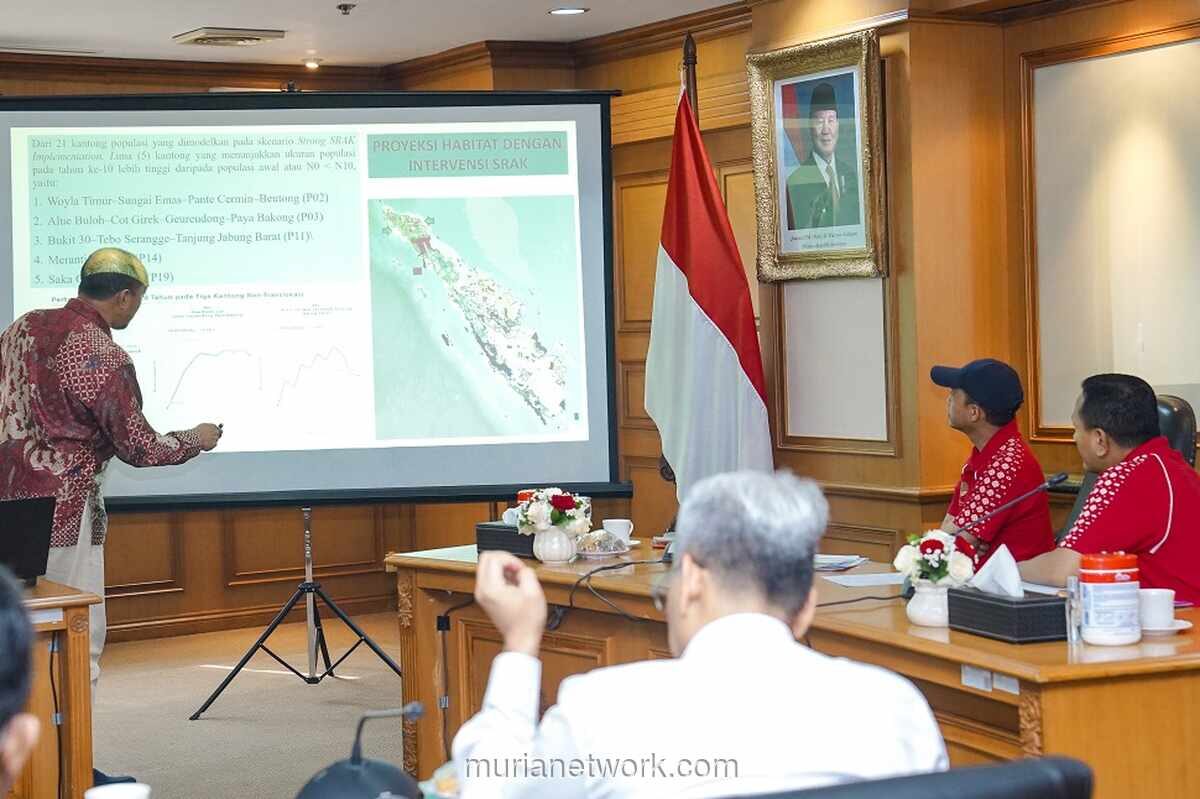 Kemenhut Modifikasi Cuaca di Riau dan Kalimantan untuk Redam Karhutla