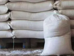 Pendapatan Melonjak 121%, GULA Berhasil Cetak Laba di Semester I-2026