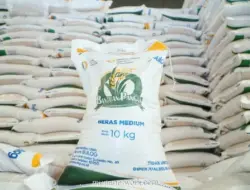 Penyaluran Bantuan Pangan Beras Tahap Kedua Dimulai 17 Agustus untuk 33,24 Juta Keluarga