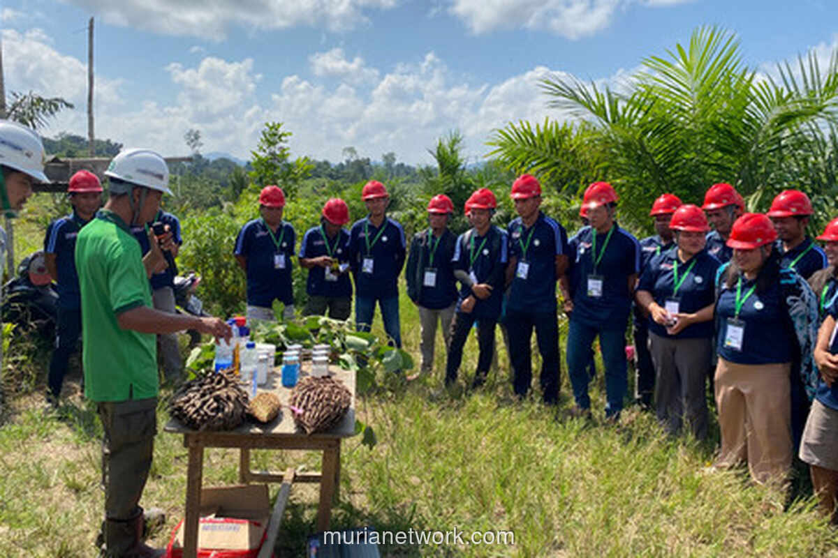 Perempuan Petani Sawit di Berau Perkuat Ekonomi Keluarga Lewat Pelatihan PERKASA