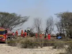 Pesawat Wisata Jatuh di Dekat Garis Nazca, 13 Orang Tewas