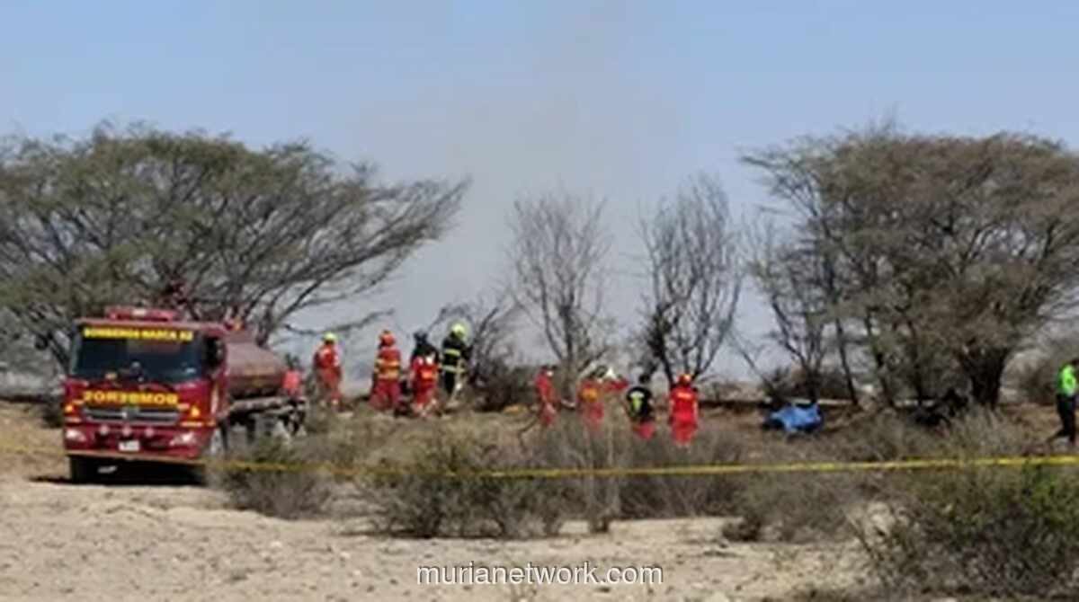 Pesawat Wisata Jatuh di Dekat Garis Nazca, 13 Orang Tewas