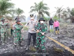 Kebakaran Lahan 6 Hektare di Rohil Padam, Petugas Masih Siaga