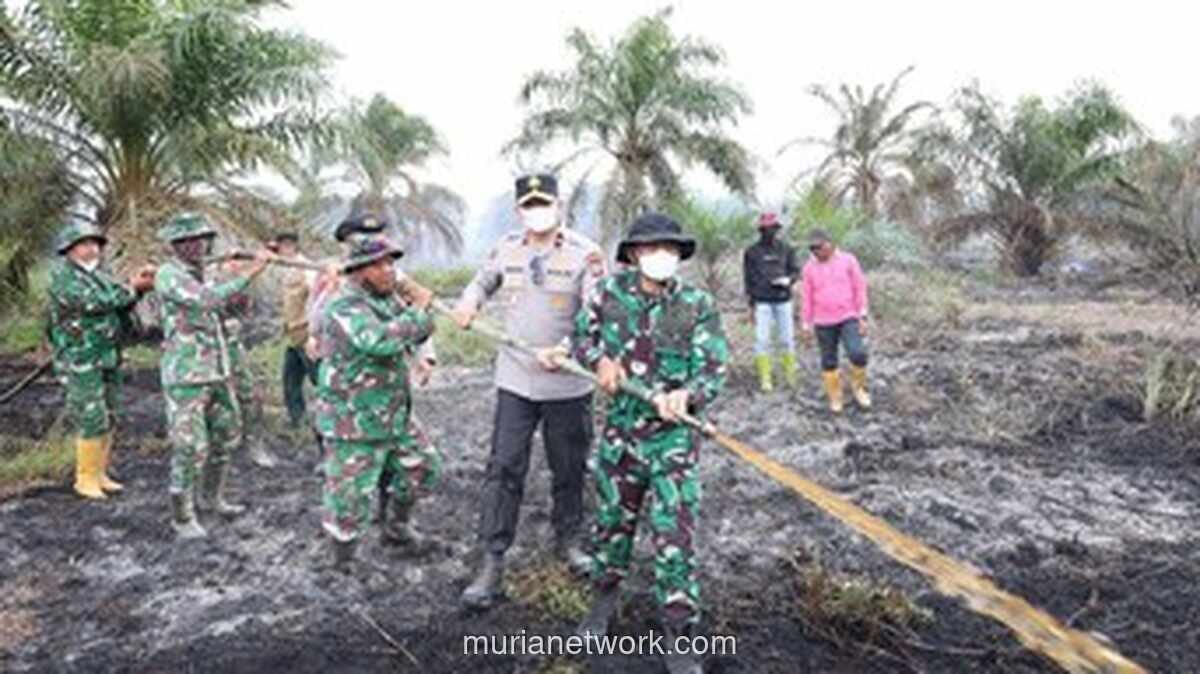 Kebakaran Lahan 6 Hektare di Rohil Padam, Petugas Masih Siaga