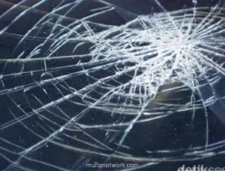 Pohon Tumbang Timpa Mobil di Pidie, 7 Tewas dan 5 Luka-Luka