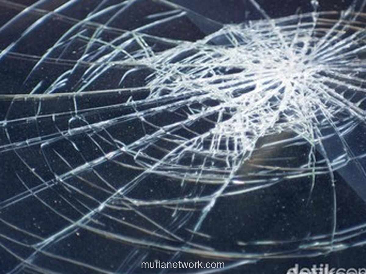 Pohon Tumbang Timpa Mobil di Pidie, 7 Tewas dan 5 Luka-Luka