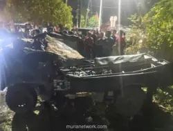 Pohon Tumbang Timpa Mobil Pikap di Pidie, Tujuh Warga Meninggal