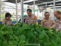 Polda Metro Jaya Panen 82 Kg Pakcoy untuk Dukung Program Makan Bergizi Gratis