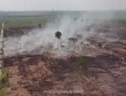 Polda Riau Tetapkan Dua Tersangka Karhutla di Bengkalis, Luas Lahan Terbakar Capai 4 Hektare