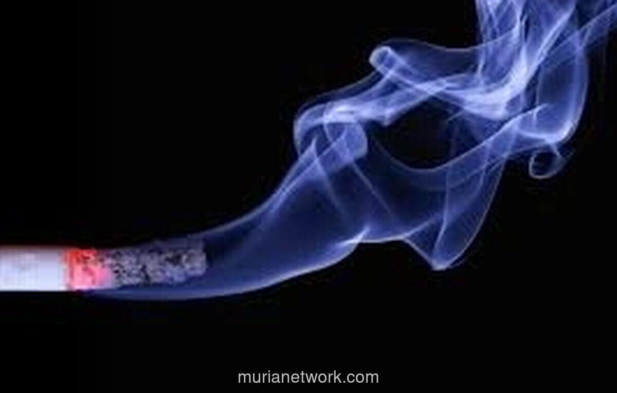 Polres Bulukumba Dalami Laporan Rokok Ilegal, Penggeledahan Tak Temukan Barang Bukti