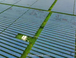 Vietnam Ungguli RI di Energi Terbarukan, Bank Dunia Usul Ambang Omzet PKP Turun