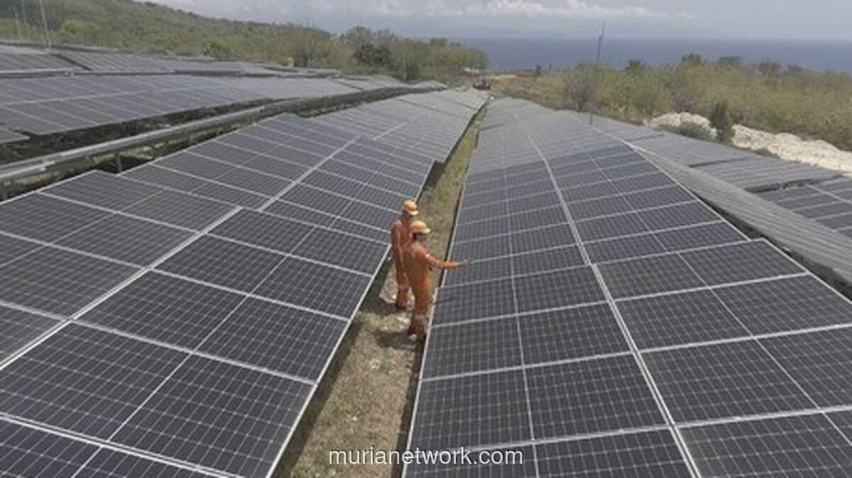 Pemerintah Siap Resmikan Tahap Awal PLTS 100 GW di Bali
