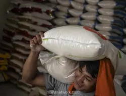 BPS: Produksi Beras Januari–September 2026 Diprediksi Naik Tipis 0,01 Persen