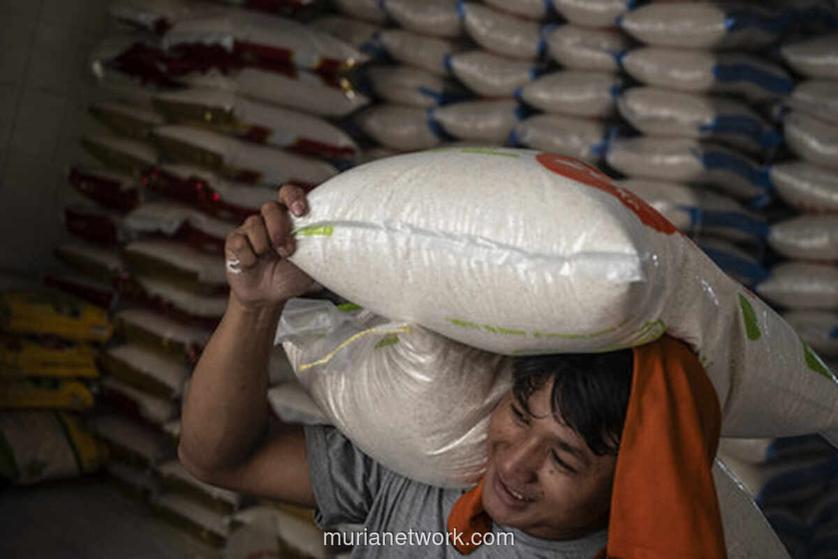 BPS: Produksi Beras Januari–September 2026 Diprediksi Naik Tipis 0,01 Persen