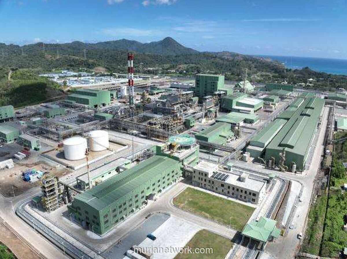 Harga Tembaga di Rekor Tertinggi, Saham Amman Mineral Diproyeksikan Cetak Laba Puncak