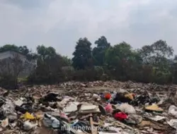 DLH Jakarta Mulai Angkut Sampah di TPS Liar Kampung Dukuh Pascakebakaran