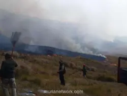 Karhutla di Gunung Bromo Meluas, 60 Hektare Lahan Terbakar