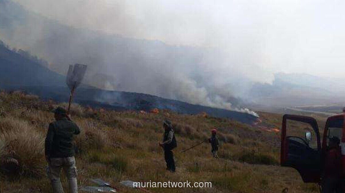 Karhutla di Gunung Bromo Meluas, 60 Hektare Lahan Terbakar