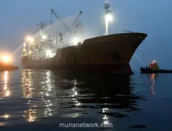 Kapal Kargo Diserang di Laut Merah, Satu WNI Jadi Korban