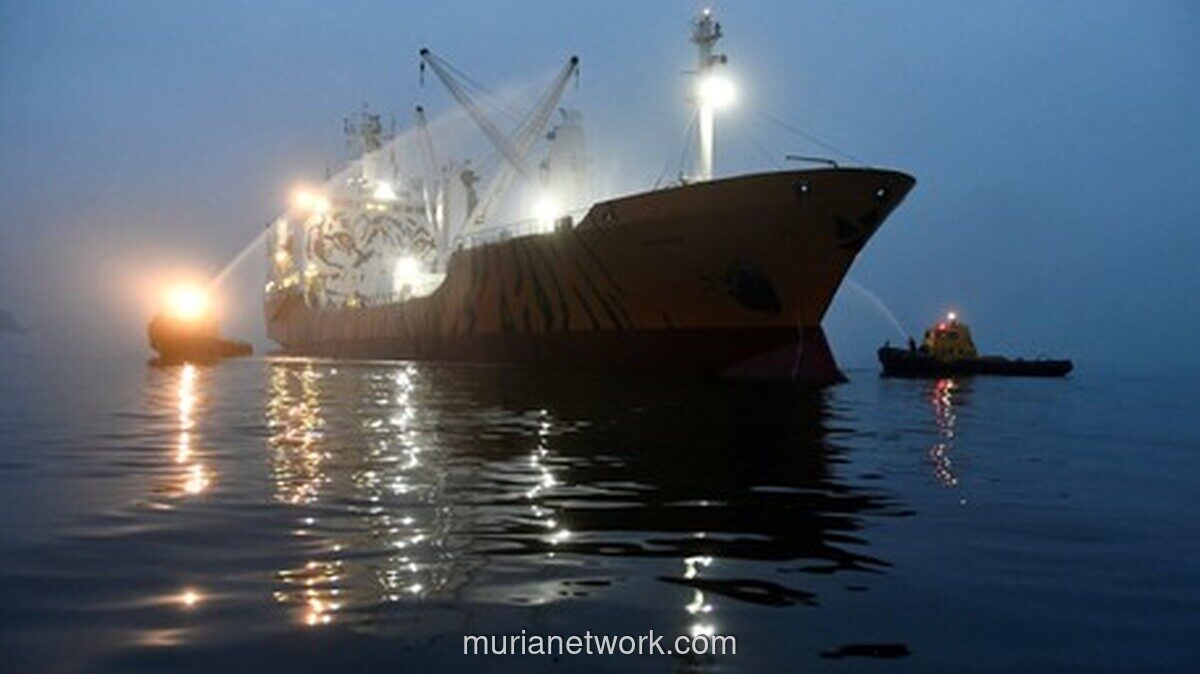 Kapal Kargo Diserang di Laut Merah, Satu WNI Jadi Korban