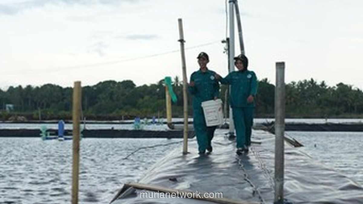KKP Satukan 11 Kampus Vokasi Kelautan Menjadi Ocean Institute of Indonesia