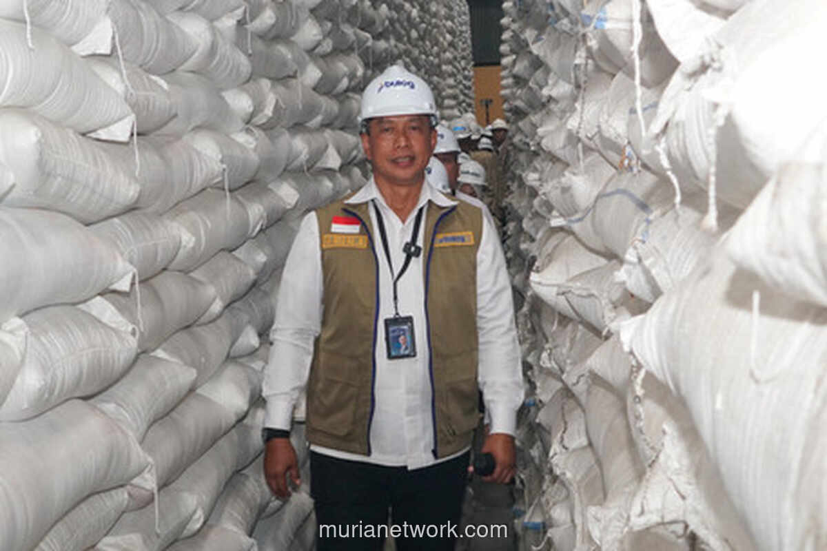 Bulog Serap 87,4 Persen Cadangan Beras Pemerintah, Stok Tembus 5,4 Juta Ton