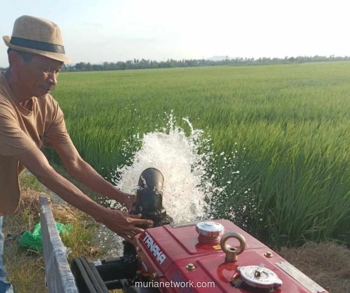 Pemprov Sulsel Siapkan 300 Pompa Air dan Sumur Bor Antisipasi Kekeringan Akibat El Nino
