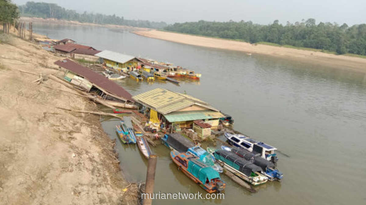 Sungai Mahakam Menyusut, Hamparan Pasir Muncul dan Jalur Transportasi Terganggu