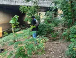 Polisi Tangkap Terduga Perampok Lansia di Cakung Saat Tertidur