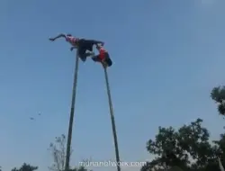 Menari di Puncak Bambu 12 Meter, Tradisi Pojhien Bondowoso Tetap Lestari