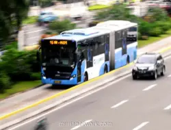 Transjakarta Minta Maaf atas Gangguan Koridor 13, Penumpang Sempat Berjalan Kaki