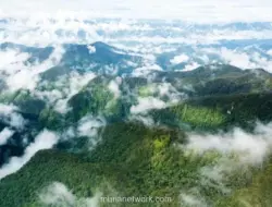 Indonesia Raih Pendanaan Iklim Rp1,85 Triliun dari Green Climate Fund