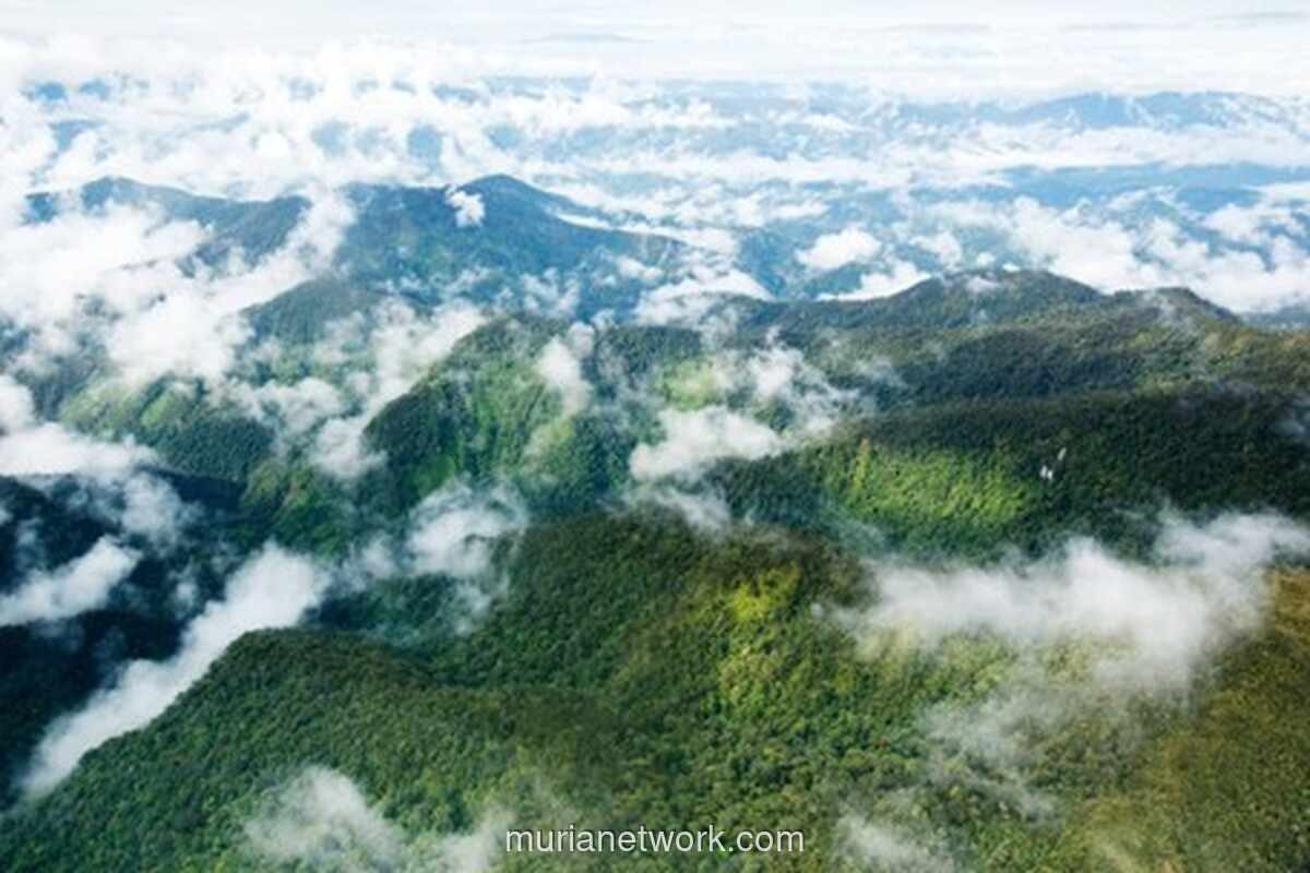 Indonesia Raih Pendanaan Iklim Rp1,85 Triliun dari Green Climate Fund