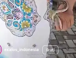 Viral, Emak-Emak Berdaster Santai Tangkap Ular di Selokan Boyolali