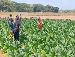 Fenomena Tanah Bersuara di Sampang Gegerkan Warga, BPBD Turun Tangan