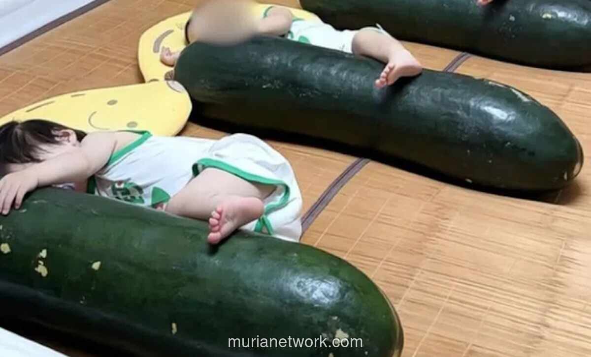Tren Memeluk Labu Musim Dingin untuk Tidur Nyenyak di China: Murah, tapi Berisiko
