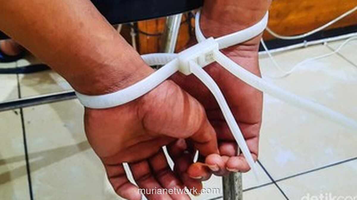 Pelempari Batu ke Kepala Balita di Lampung Timur Ternyata ODGJ, Polisi: Sudah Diamankan
