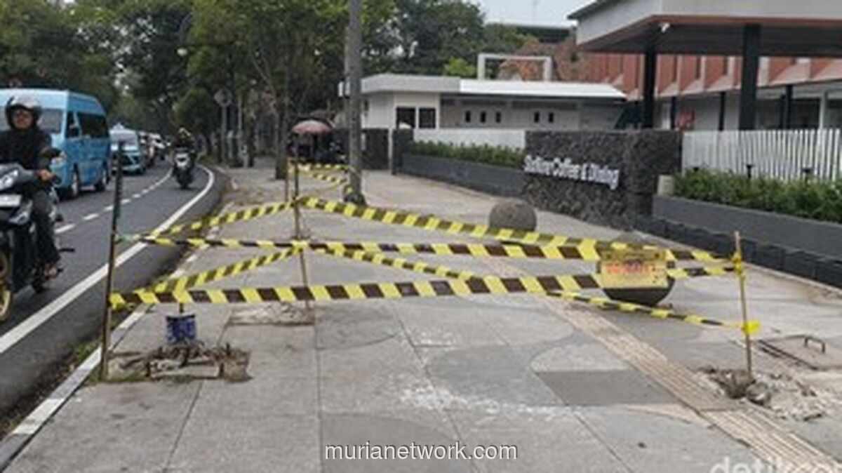 Pengelola Lapangan Padel Dipanggil Usai Tebang Pohon Sembarangan di Bandung