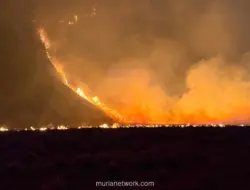 Gunung Bromo Ditutup Total Akibat Kebakaran Hutan