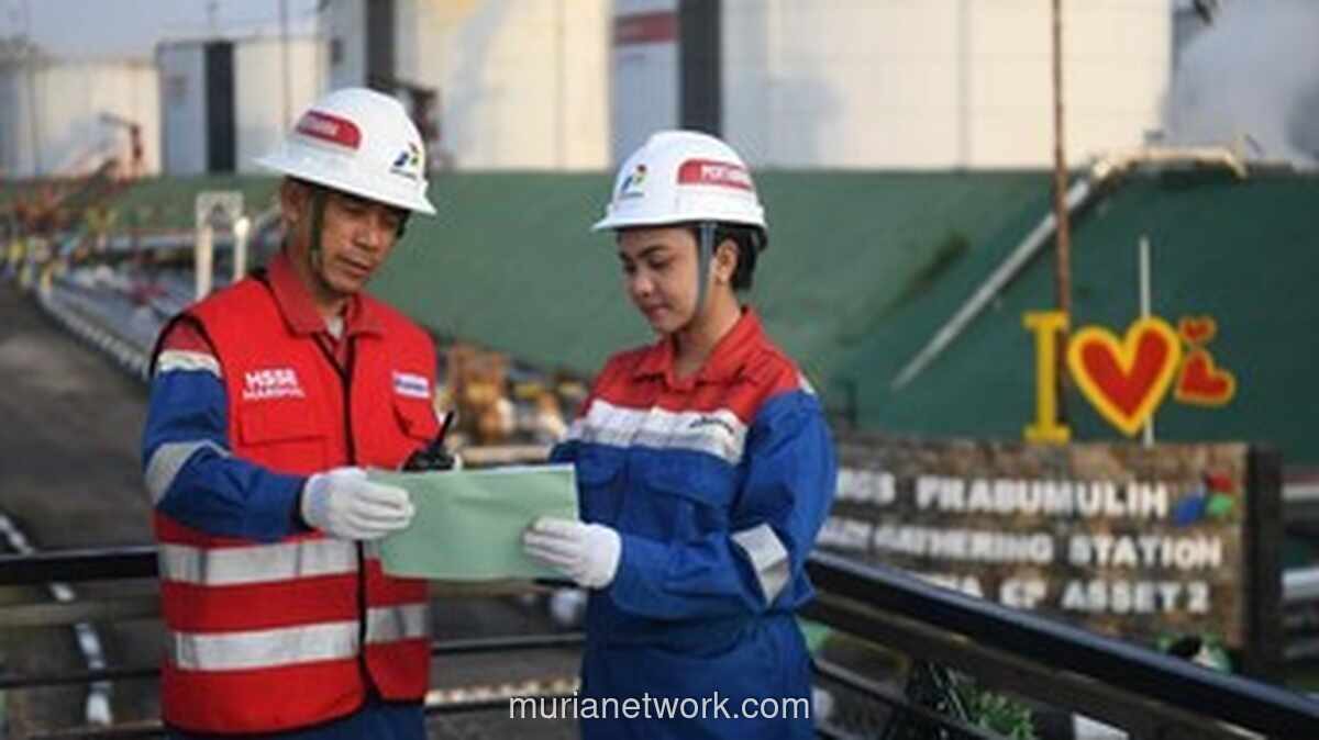 Percepat Produksi Gas South Andaman, Kunci Manfaat Ekonomi Aceh